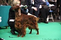 Crufts2011 680